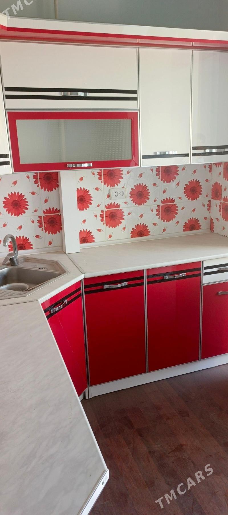 Satlyk jay - Mary - img 7