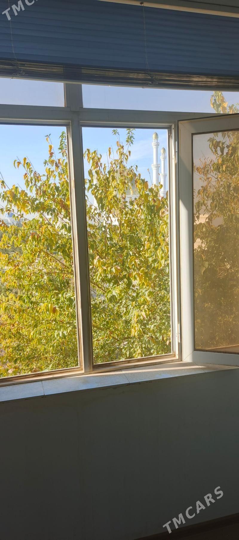 Satlyk jay - Mary - img 4