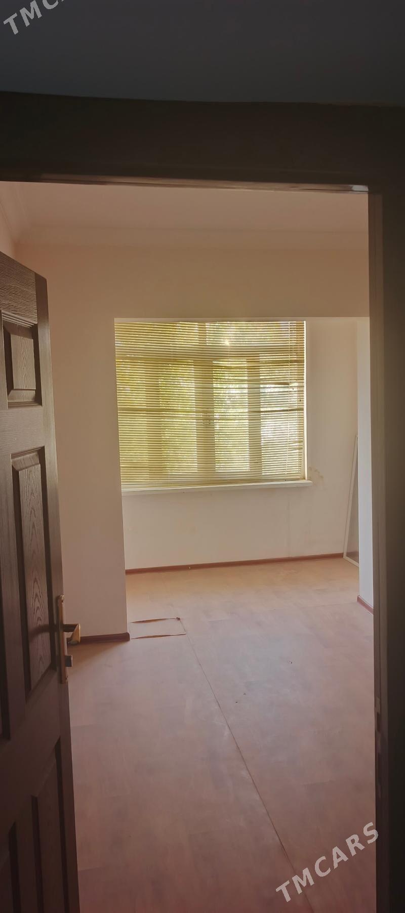 Satlyk jay - Mary - img 9