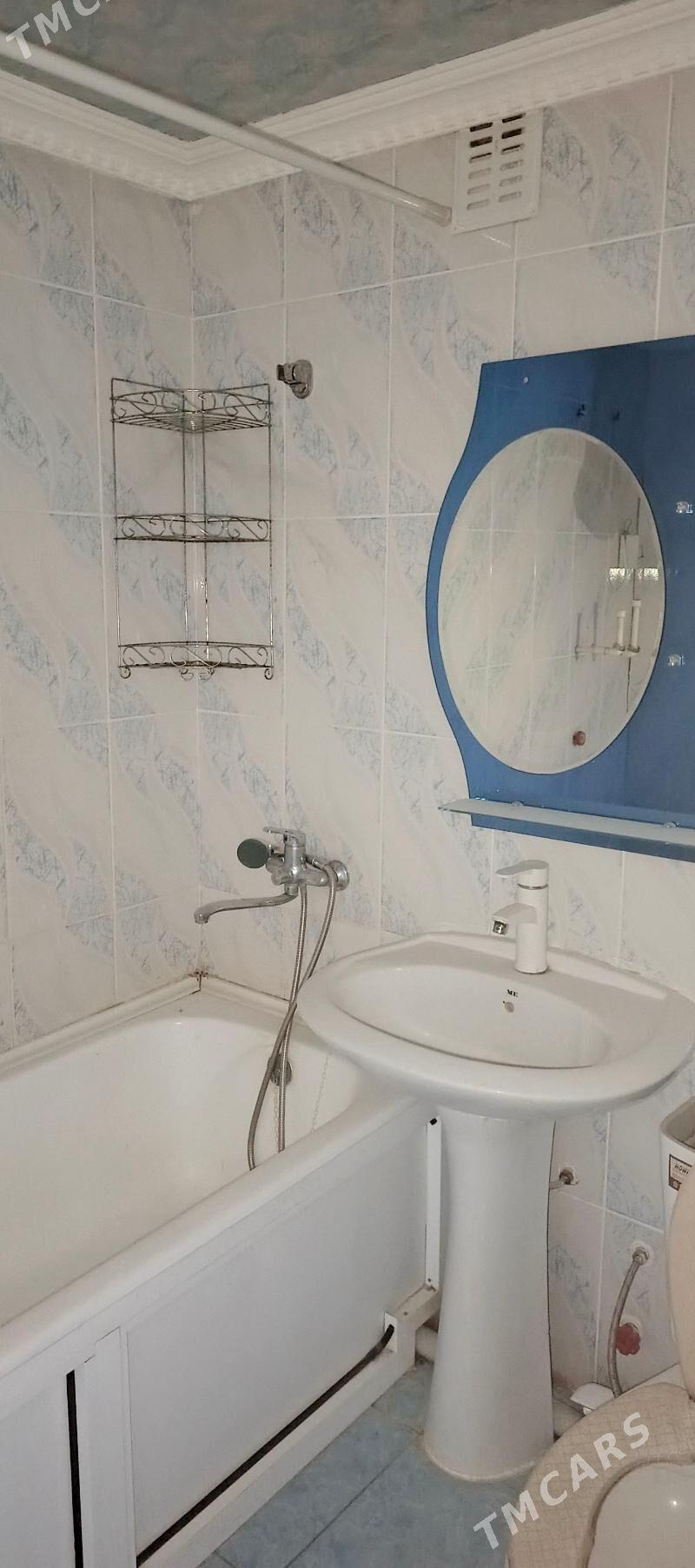 Satlyk jay - Mary - img 5