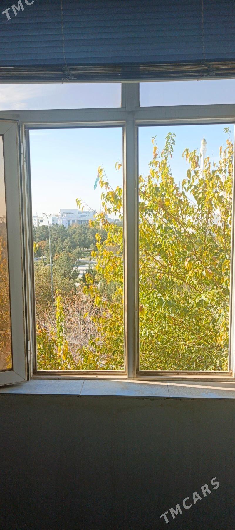 Satlyk jay - Mary - img 6