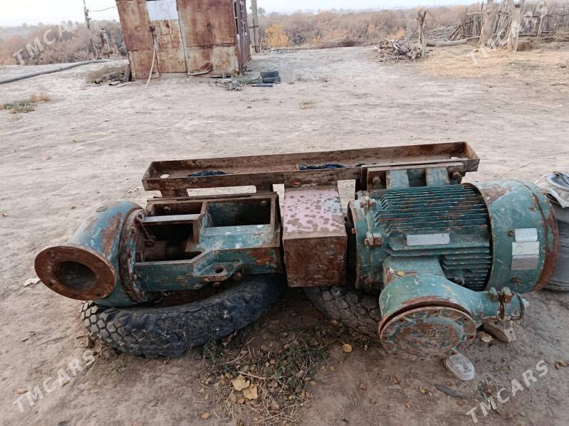 nasos Dee - Tagtabazar - img 2