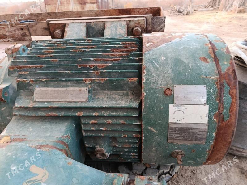 nasos Dee - Tagtabazar - img 1