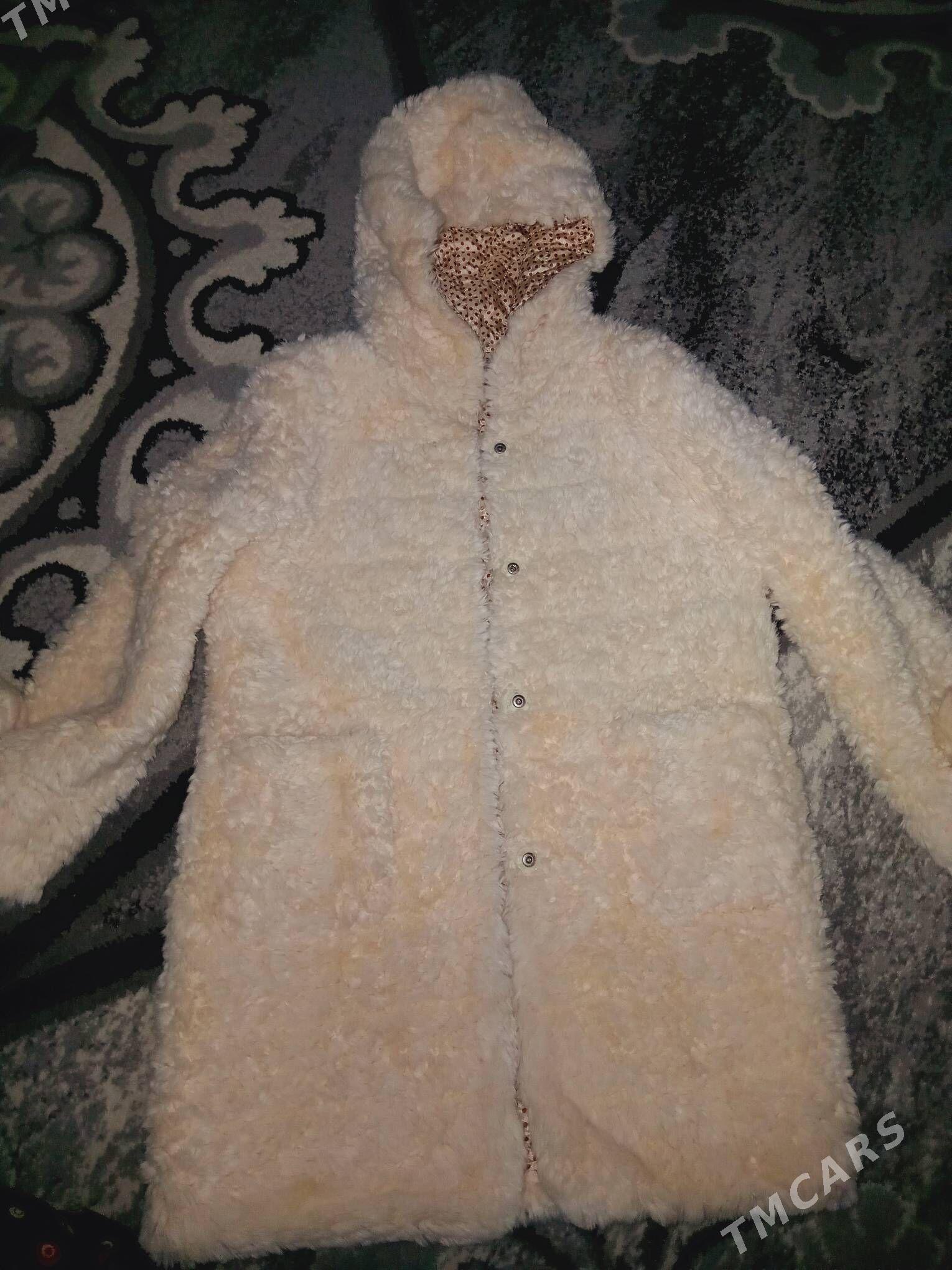 ak keteni caga şuba - Balkanabat - img 2