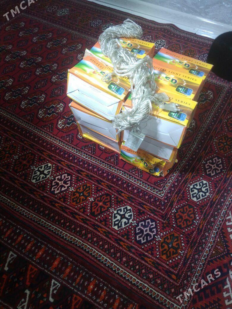 led cyra - Mary - img 3