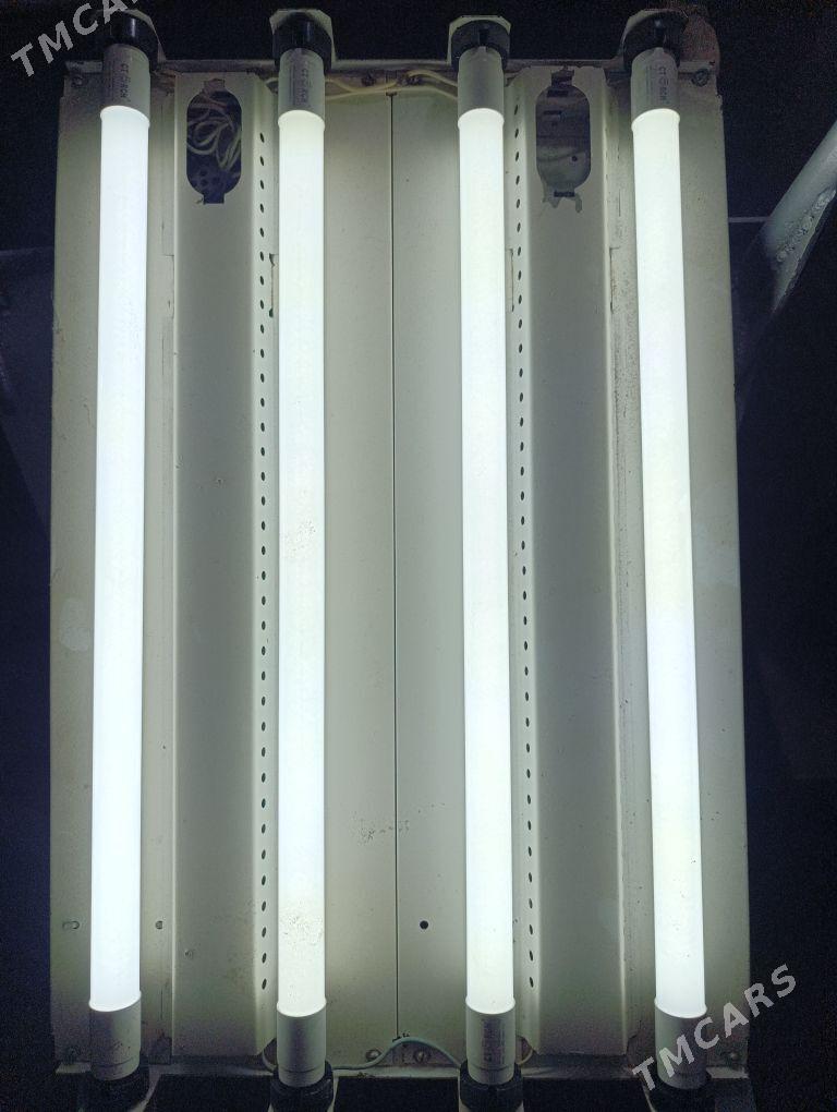 tinko - Türkmenabat - img 2