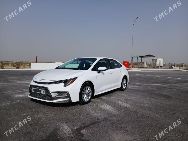 Toyota Corolla 2022 - 235 000 TMT - Türkmenabat - img 2