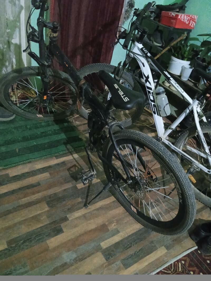 tigir - Дашогуз - img 3