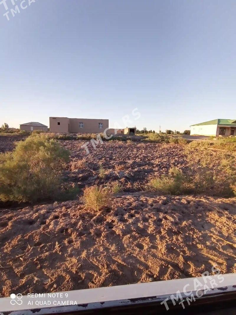 Satlyk jay - Gubadag - img 1