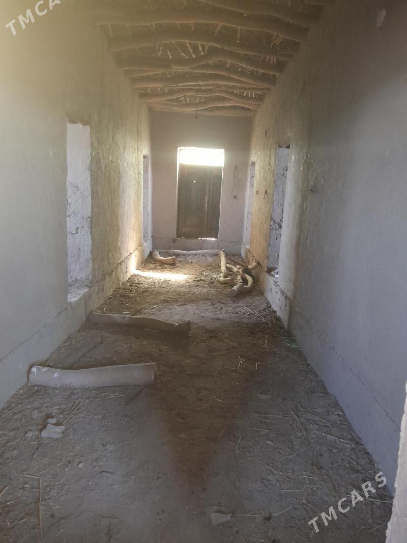 Satlyk jay - Gubadag - img 6