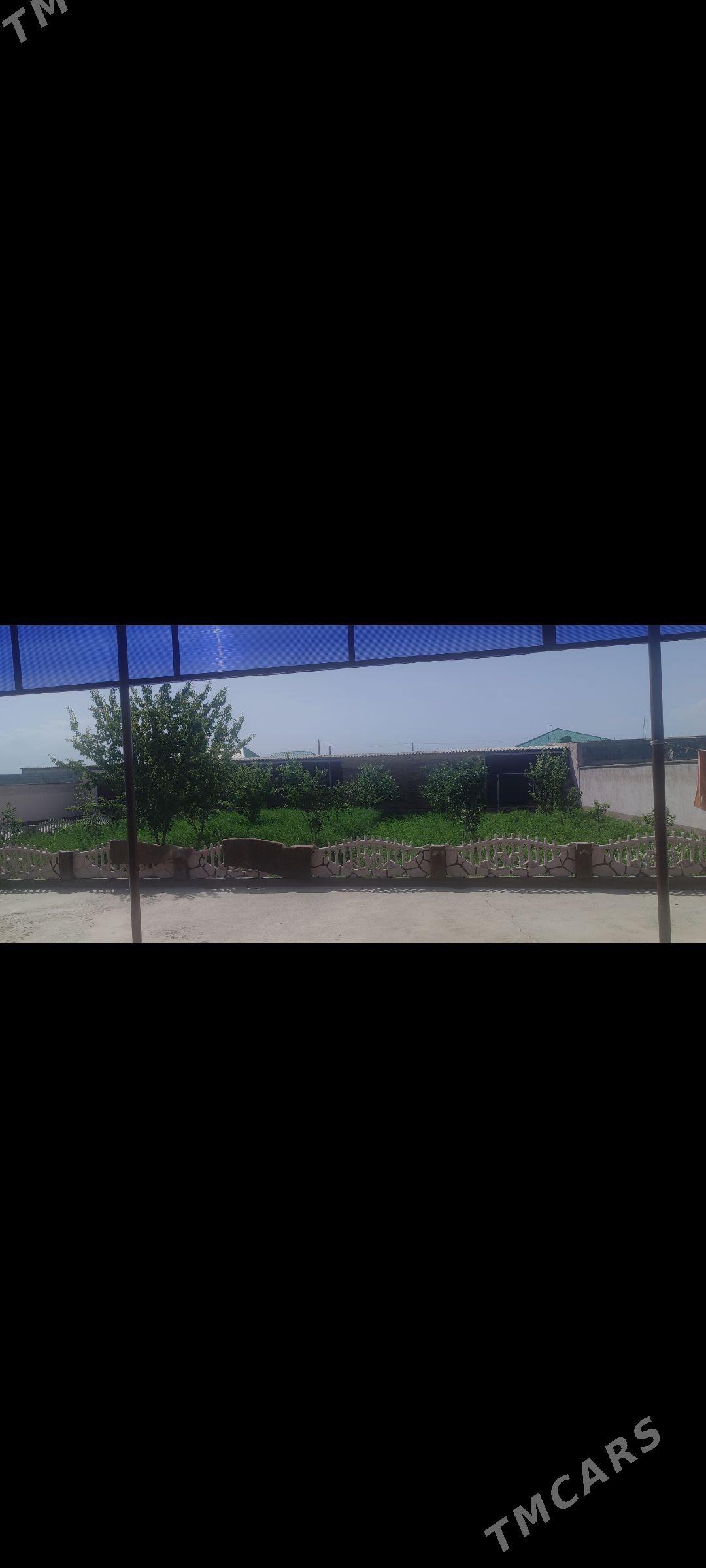 Satlyk jay - Ашхабад - img 7