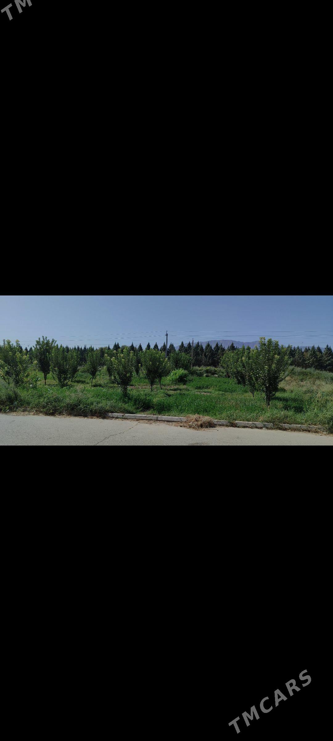 Eyesinden satlyk jay - Aşgabat - img 5