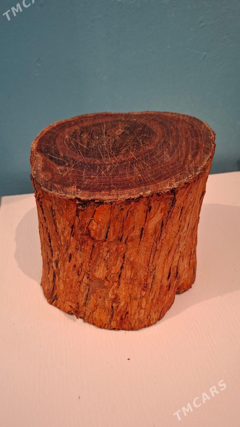 Palta - Balkanabat - img 1