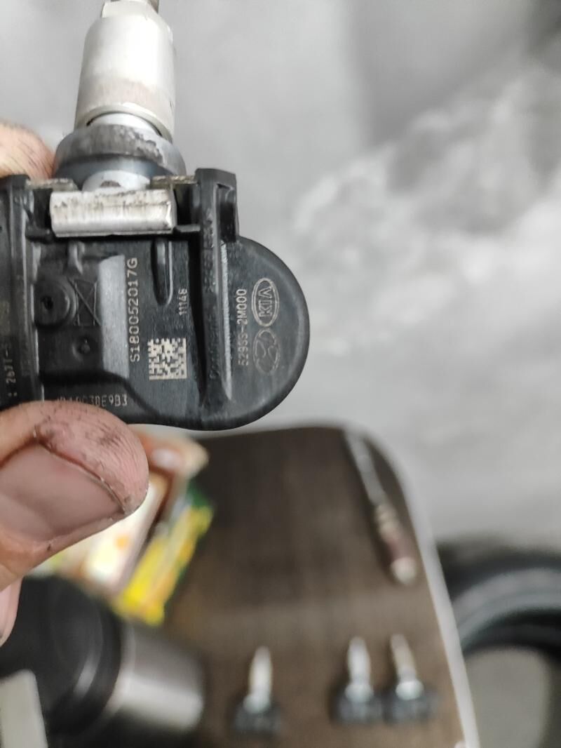 ýel daçik blutuz 250 TMT - Ашхабад - img 4