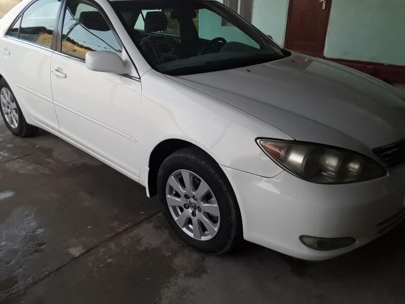 duty okuz disga 16 4 500 TMT - Ak bugdaý etraby - img 2