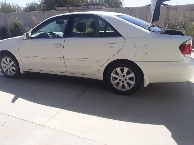 duty okuz disga 16 4 500 TMT - Ak bugdaý etraby - img 3