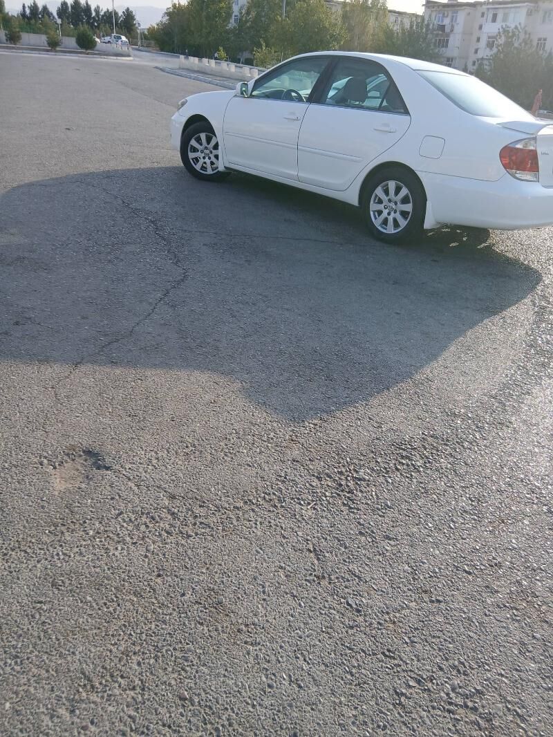 duty okuz disga 16 4 500 TMT - Ak bugdaý etraby - img 1