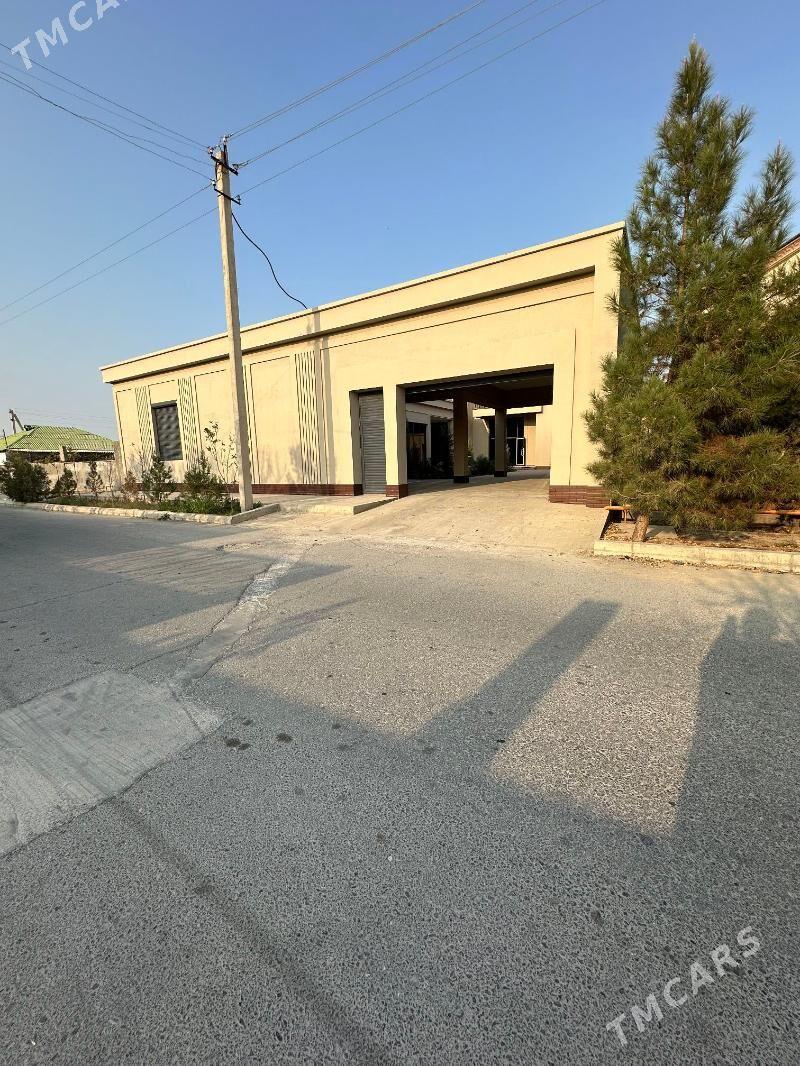 ÝALKYM, 8 SOTOK 500 KW.M. - Ýalkym - img 9