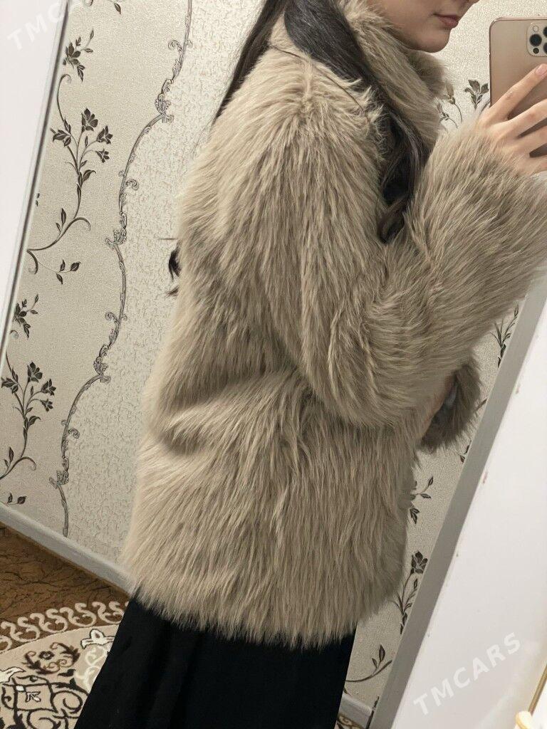 Shuba - Aşgabat - img 2