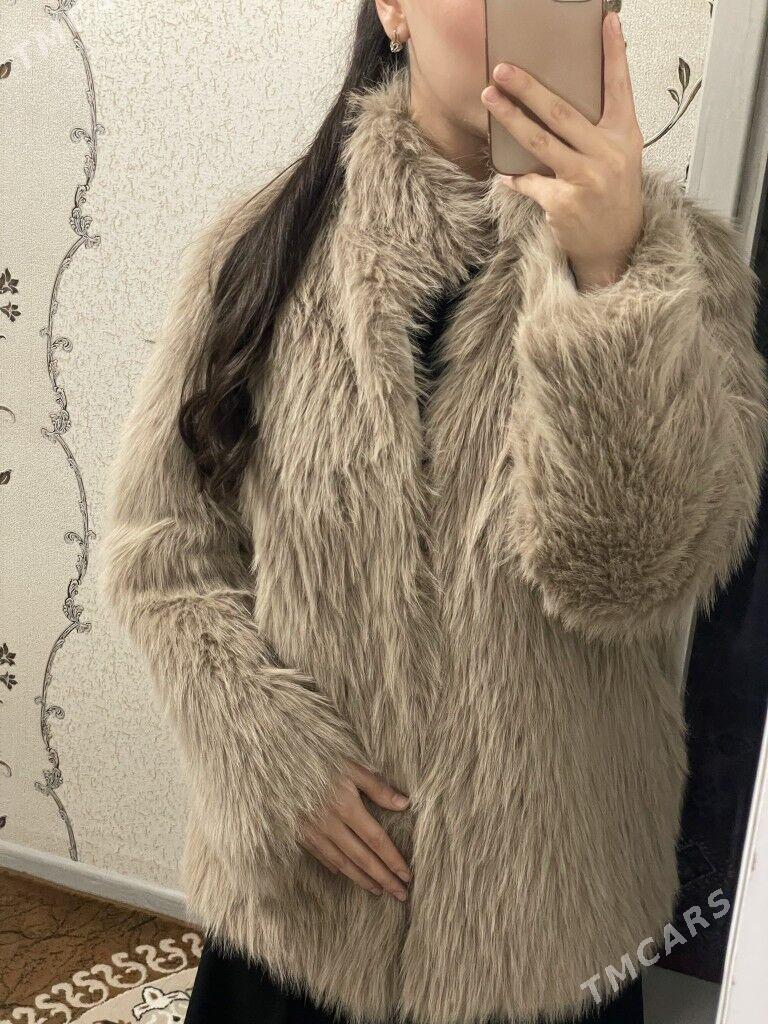 Shuba - Aşgabat - img 1