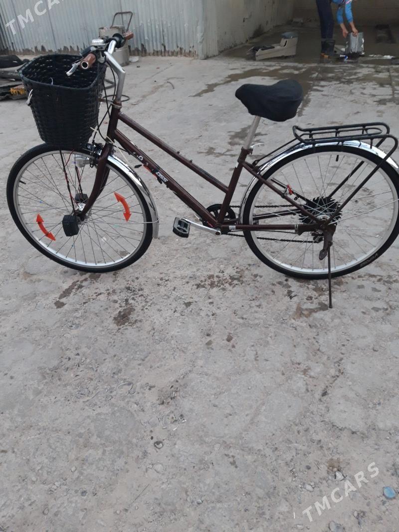 Welisoped 28 lik - Sakarçäge - img 4