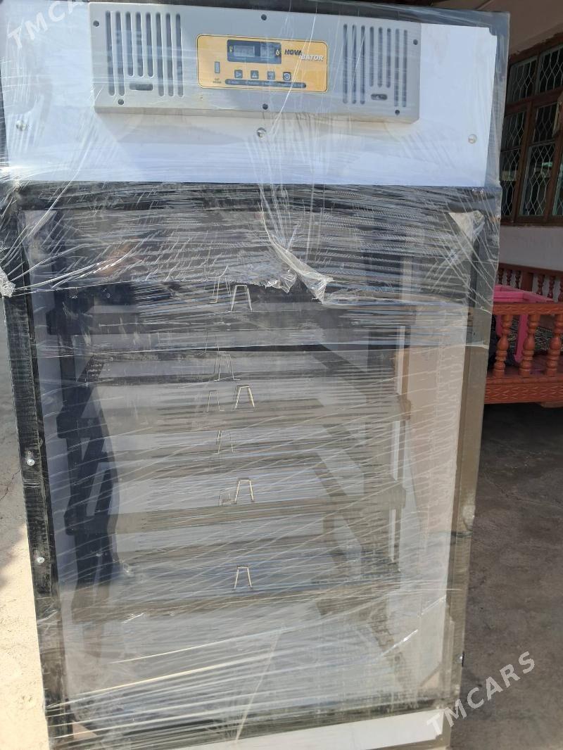 Jüýje Eńkewator - Çoganly - img 3