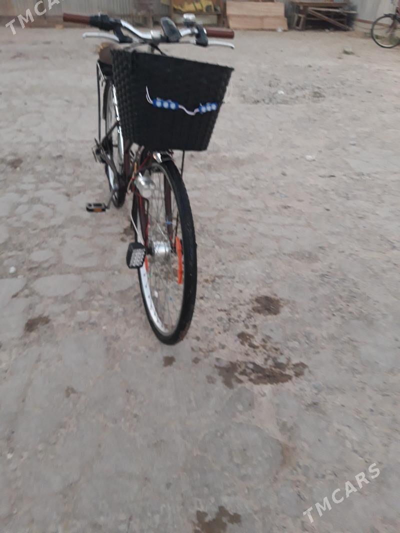 Welisoped 28 lik - Sakarçäge - img 3