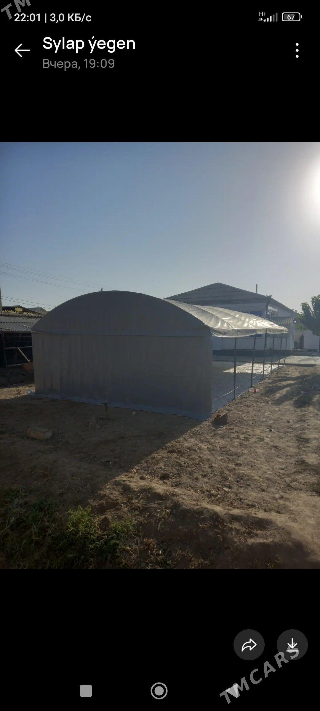 Toý palata - Murgap - img 4