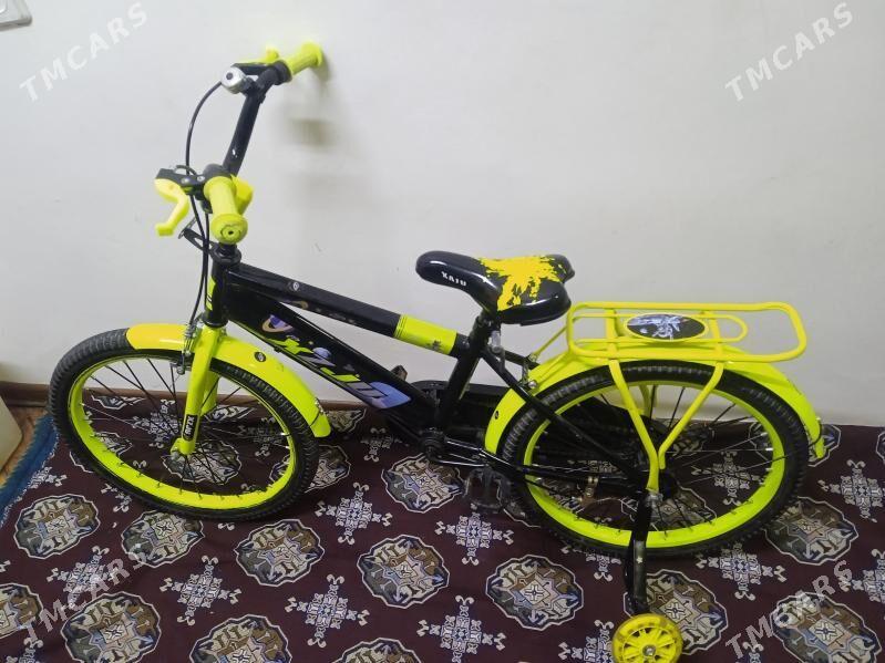 weloseped - Гуртли - img 1