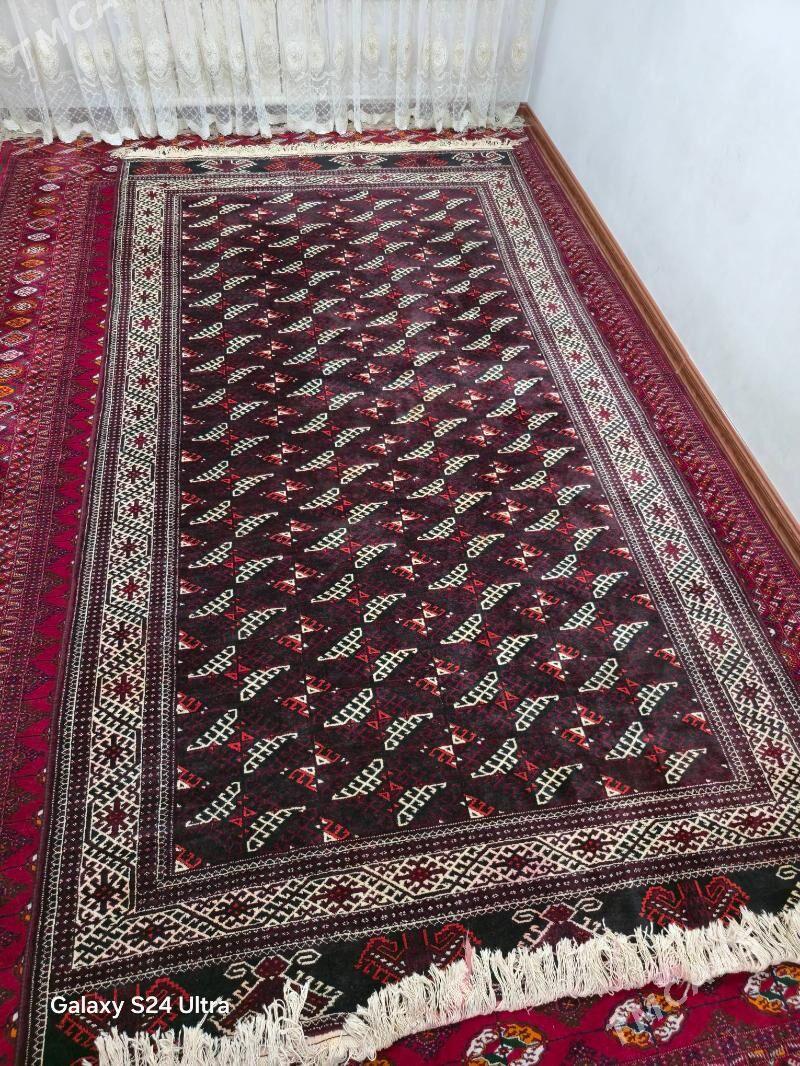 El haly yomut. 4/2 - Parahat 2 - img 1