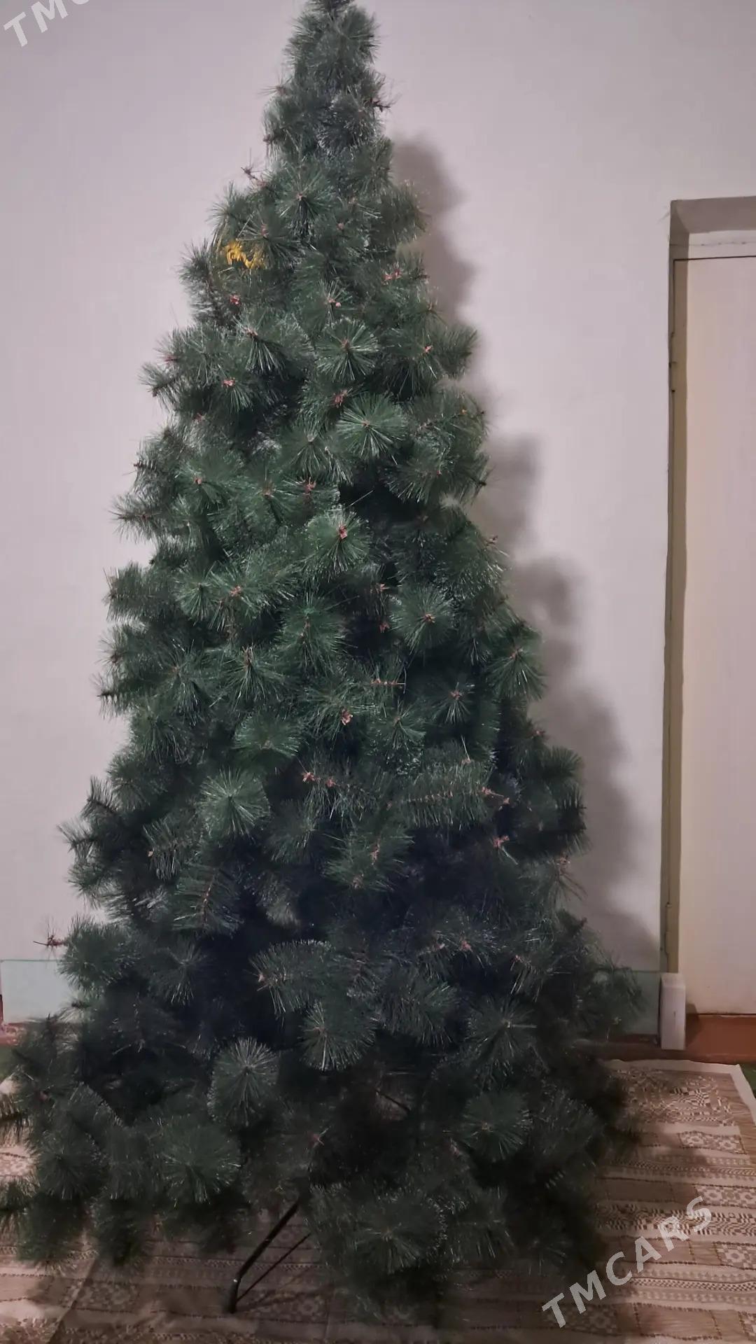 Yolka  елка - Daşoguz - img 2