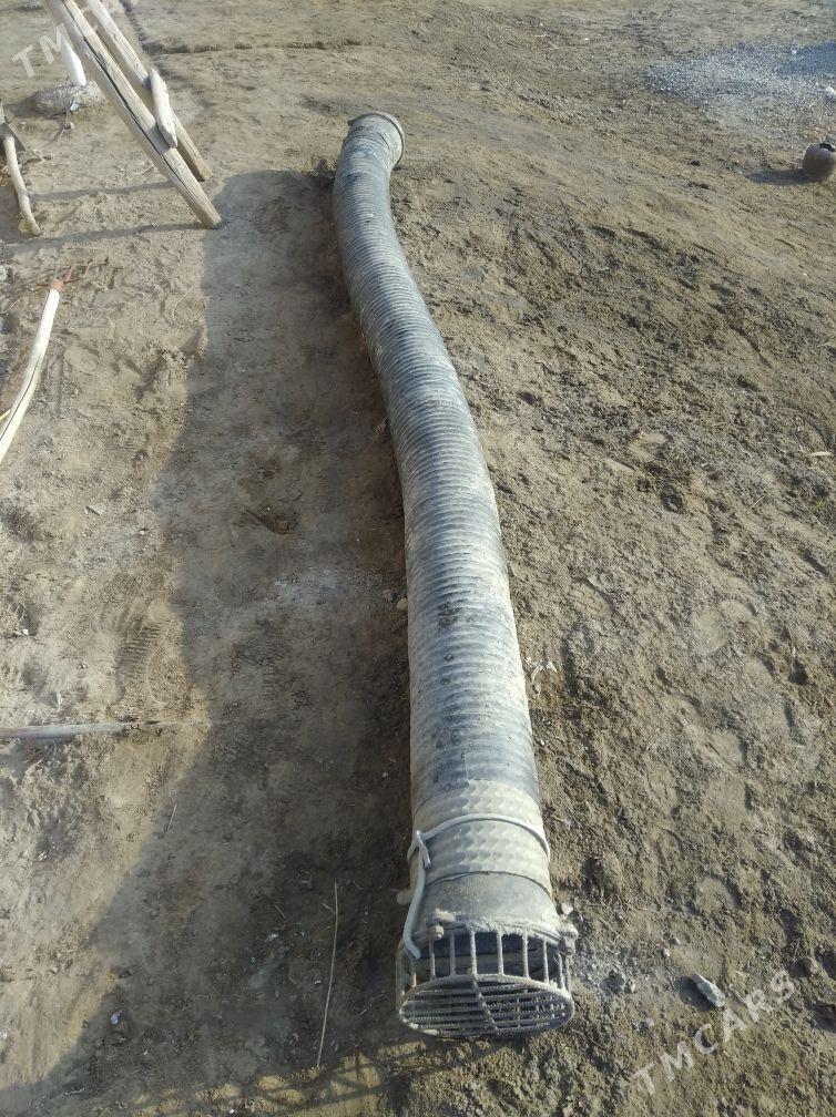 nosos 200 - Кёнеургенч - img 2