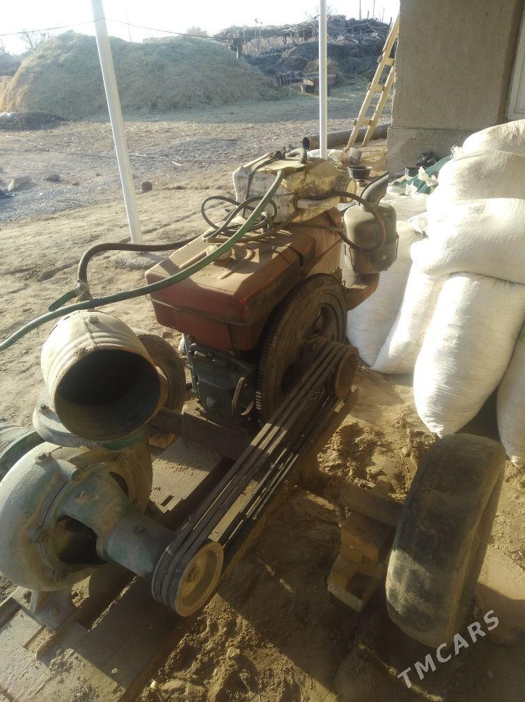 nosos 200 - Кёнеургенч - img 6