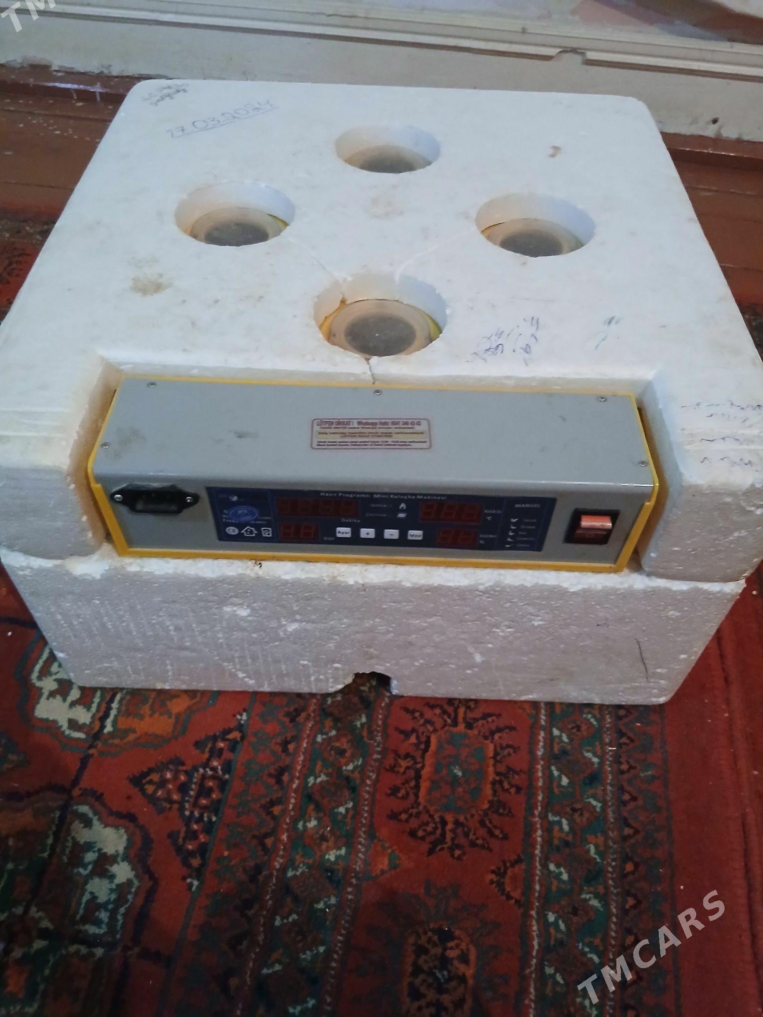 juje makinasy - Гурбансолтан Едже - img 3