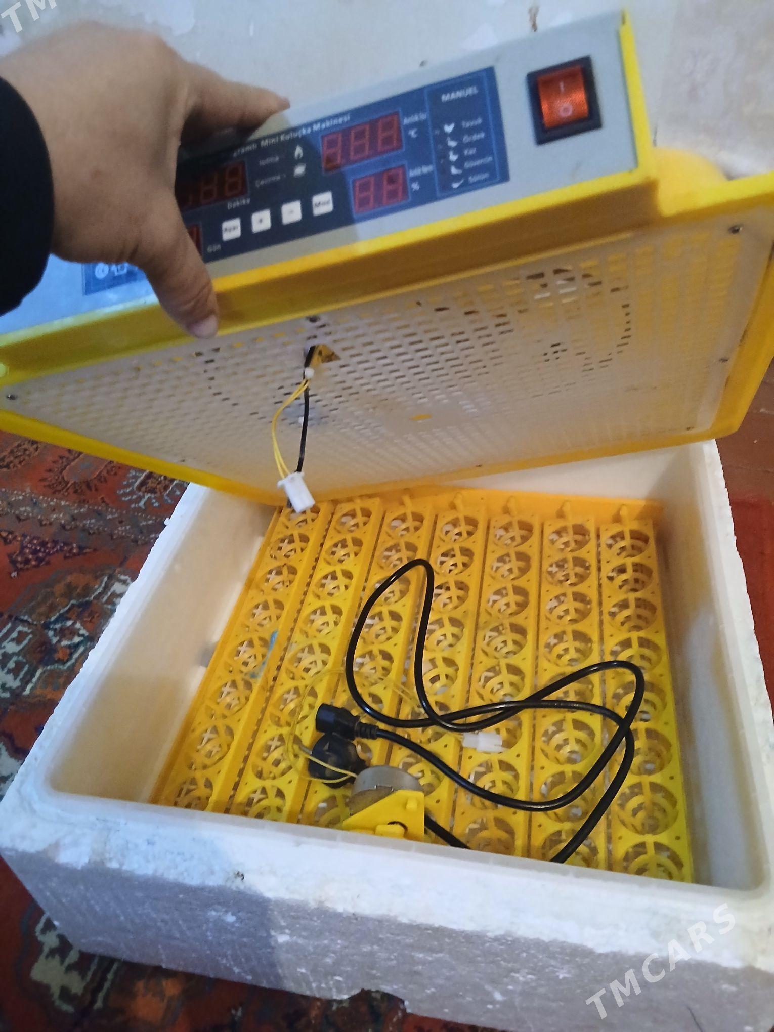 juje makinasy - Гурбансолтан Едже - img 2