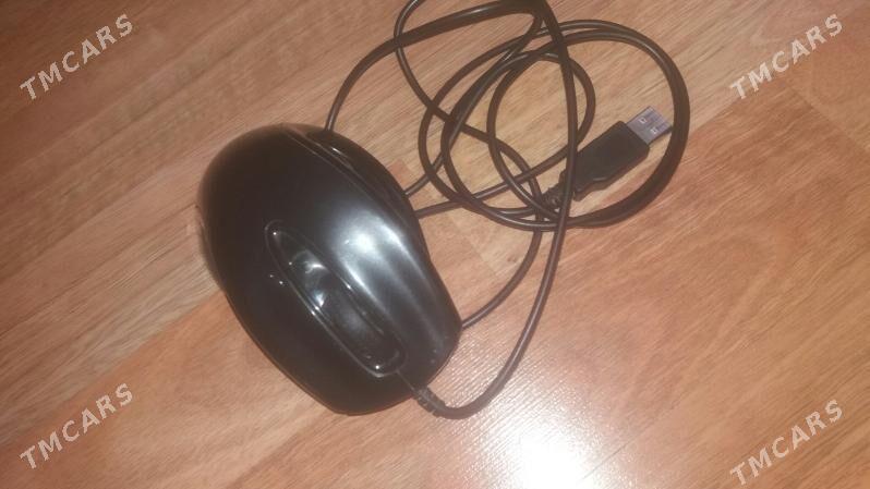 Myşka - Ашхабад - img 1