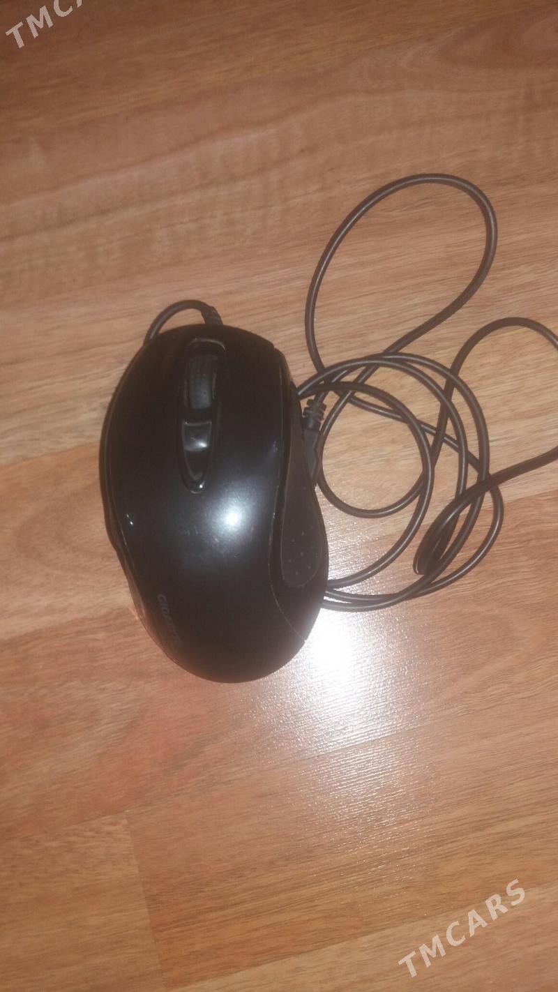 Myşka - Ашхабад - img 2