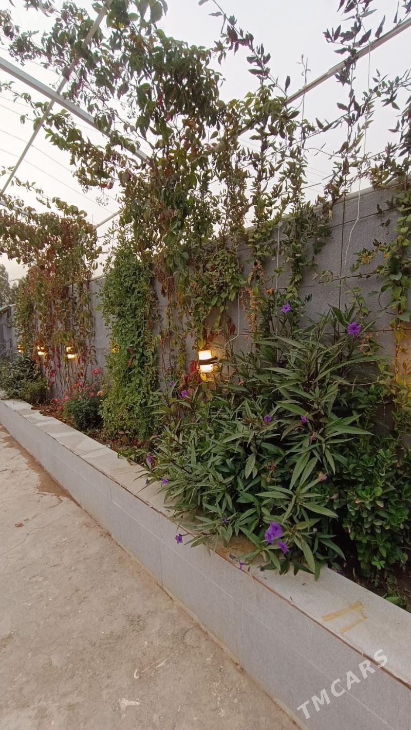 BAGYR DAŞGALA 7 SOTOK - Багир - img 9