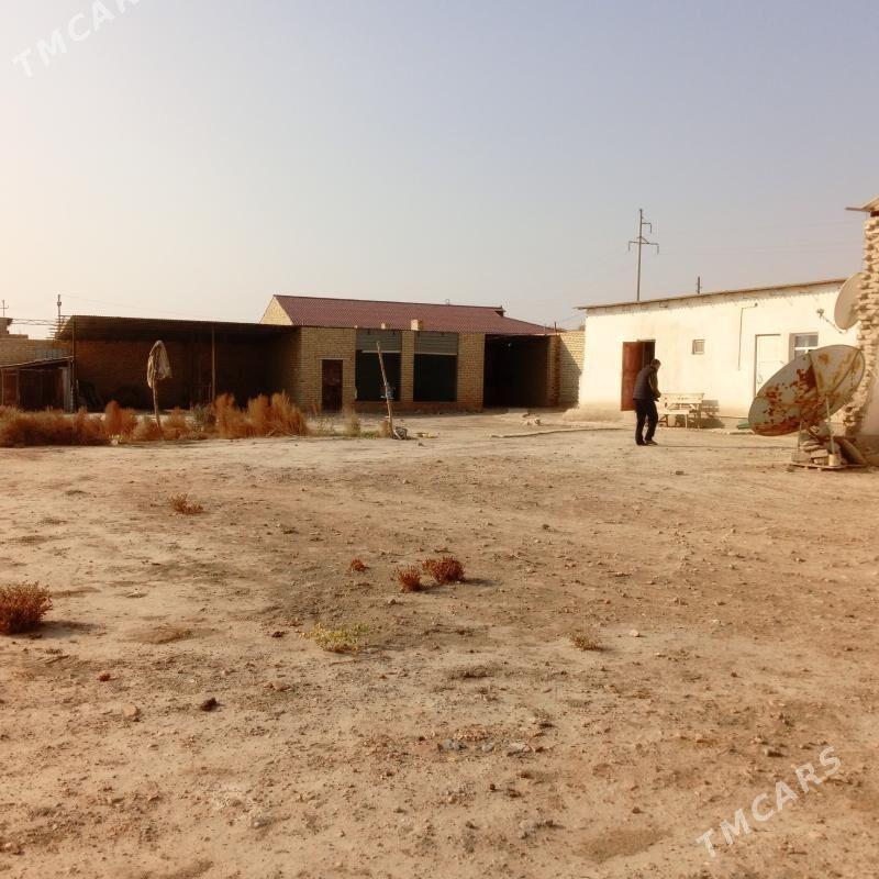 col mellek - Saýat - img 2