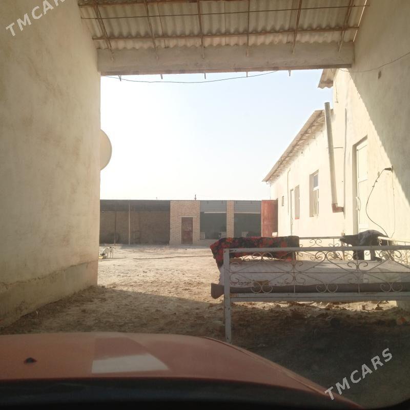 col mellek - Saýat - img 6