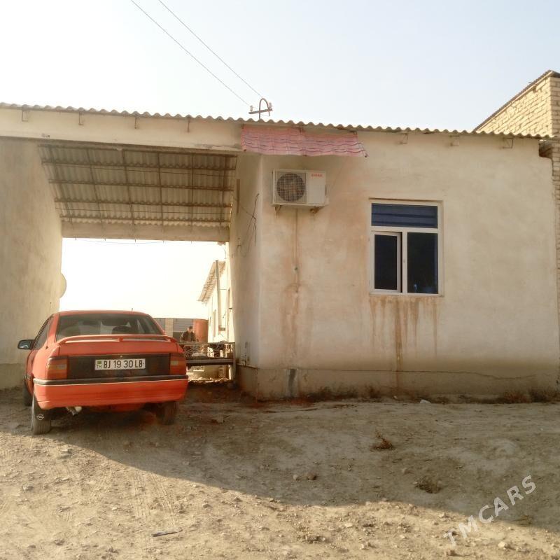 col mellek - Saýat - img 1