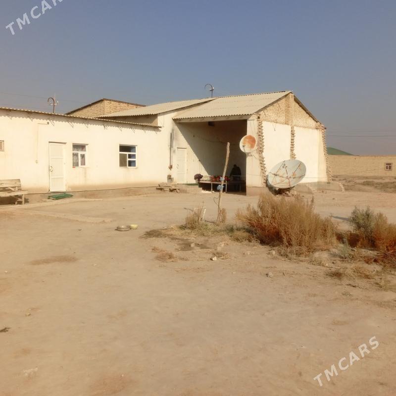 col mellek - Saýat - img 3