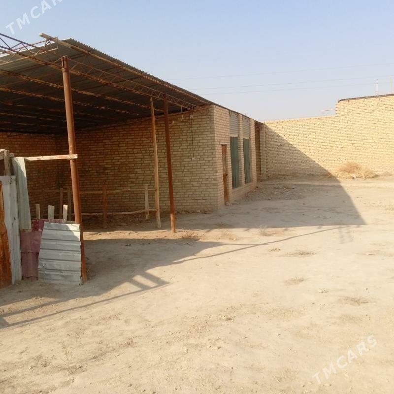 col mellek - Saýat - img 5