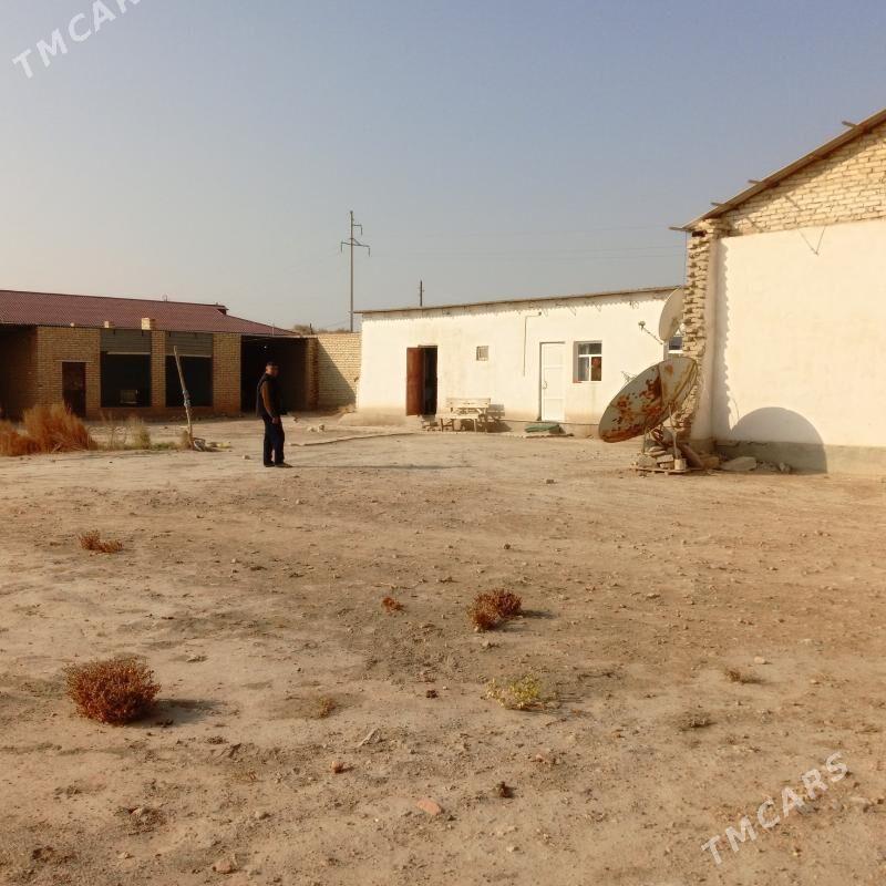 col mellek - Saýat - img 4