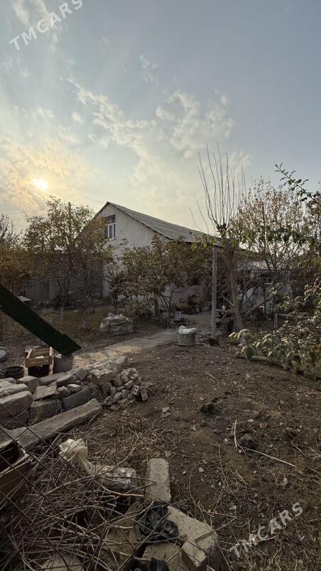 Anew 12-sotak - Änew - img 2