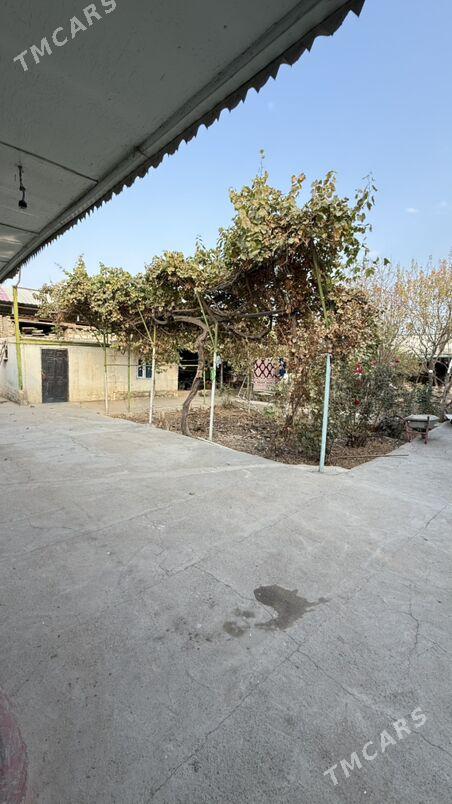 Anew 12-sotak - Änew - img 4