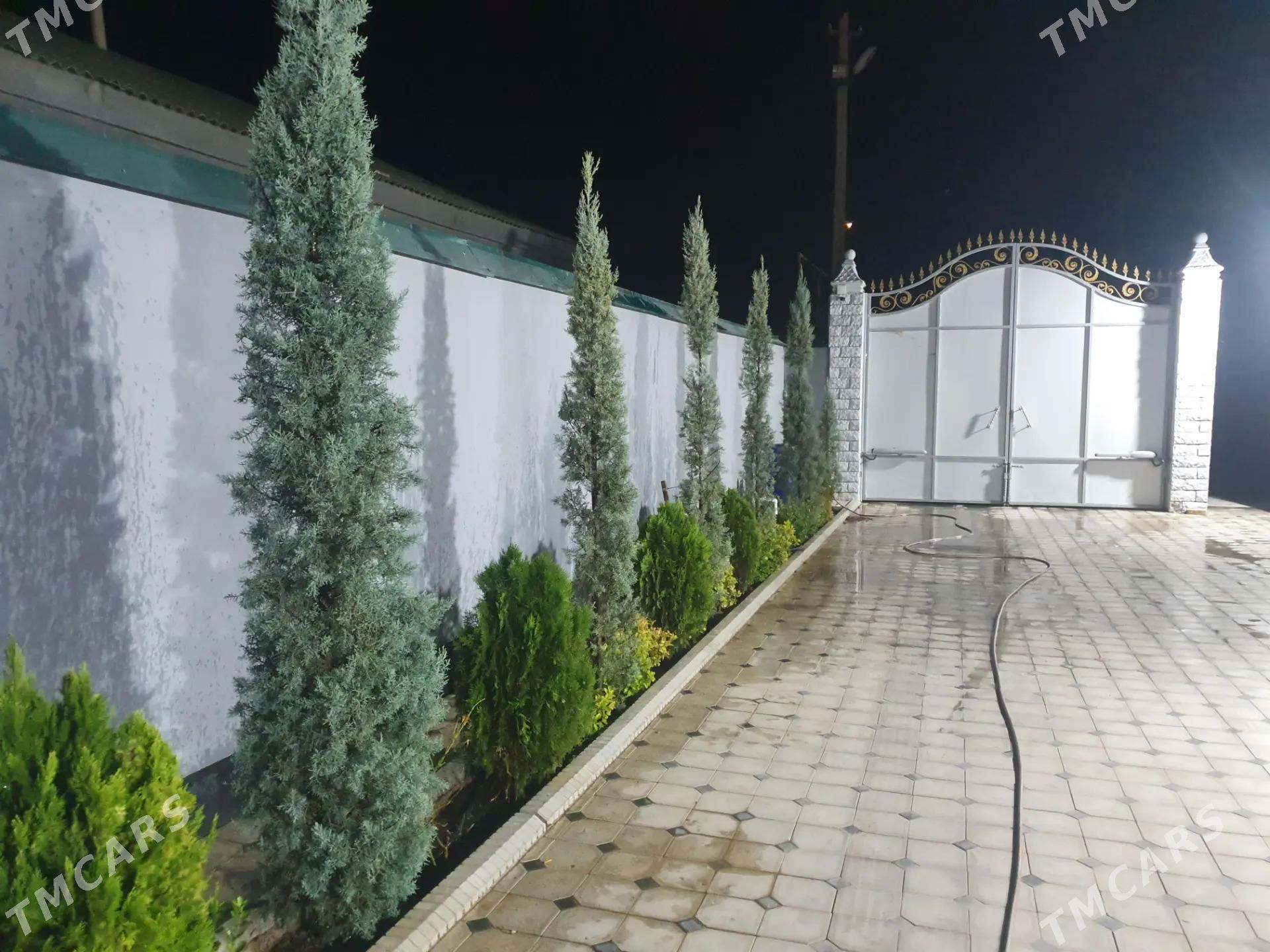 BAGYR MIREWE 9 SOTOK - Багир - img 2