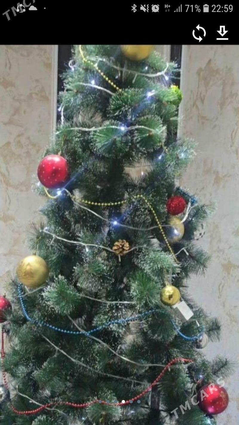 ýolka - Ашхабад - img 2