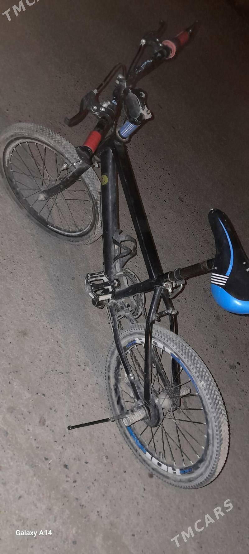 tigir - Ак-Бугдайский этрап - img 2