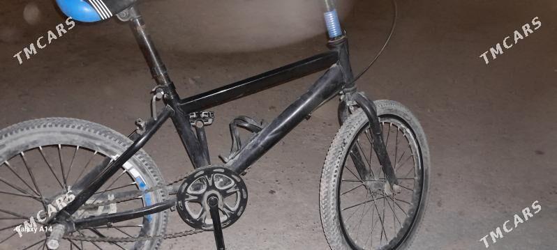 tigir - Ак-Бугдайский этрап - img 1